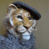 Stunning Paper Mache lion head - Image 4