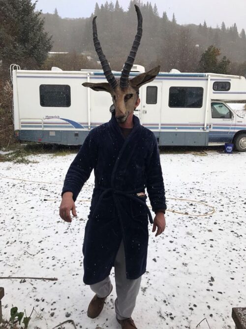 Halloween Custom Gazelle Mask - Image 3