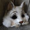 True Romance Paper mache White cat mask cat costume Kitty mask - Image 3