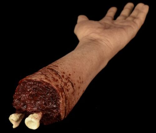 Silicone arm with Resin Bone