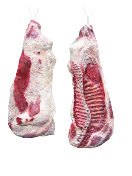 Realistic Silicone Beef Flatback Pair