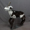 Exquisite Black And White Goat sculpture - Image 2
