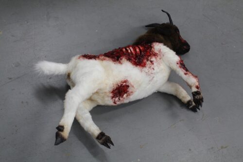 Wounded Boer goat sculpture - Image 4
