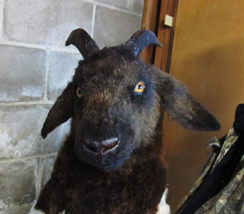 Boer Goat sculpture - Image 2