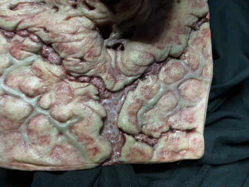 Putrid Wearable full latex mask - Image 3