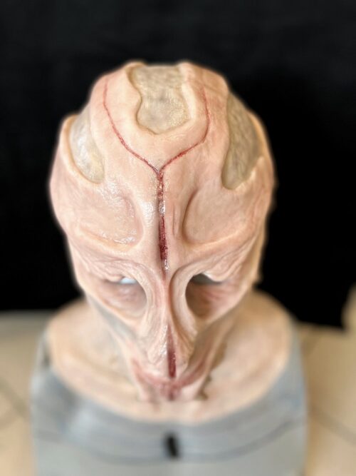 unforgettable Alien albino tortured  full silicone mask - Image 8