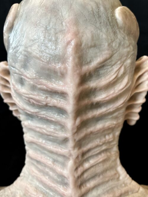 unforgettable Alien albino tortured  full silicone mask - Image 9