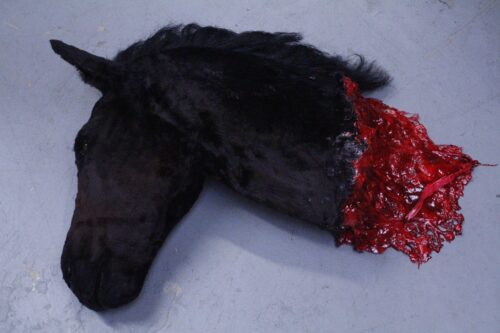 Realistic Severe horse head prop - Image 3