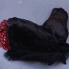 Realistic Severe horse head prop - Image 4
