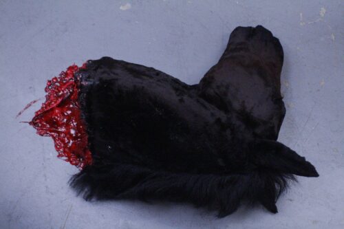 Realistic Severe horse head prop - Image 4