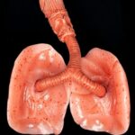 Silicone Organs for Medical Training