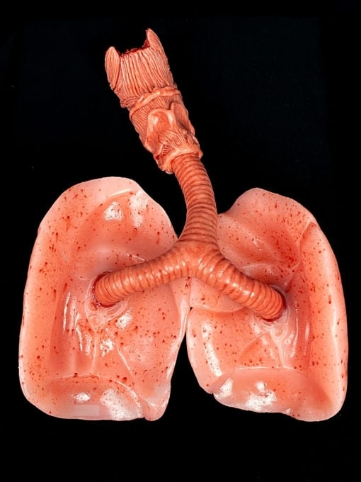 Silicone Organs for Medical Training