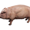 Animal figurines and statues