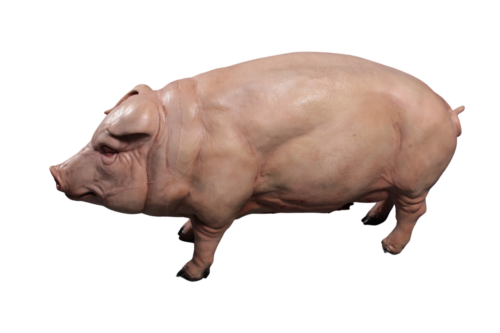 Animal figurines and statues