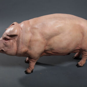 Pig Sculpture