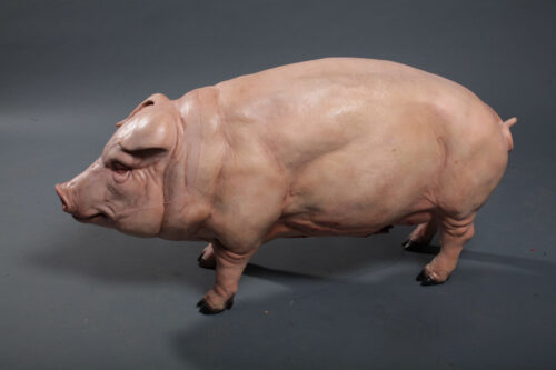 Pig Sculpture