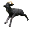 Lifelike Black Ram Goat Prop by The Silicone Masters - Image 2