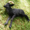 Lifelike Black Ram Goat Prop by The Silicone Masters - Image 4