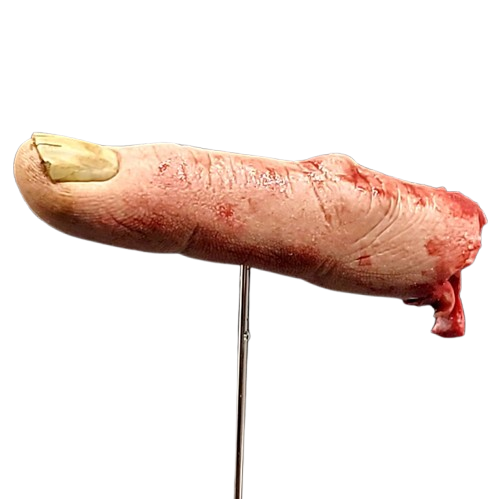 silicone body parts