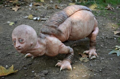 Handcrafted Armadillo Silicone Sculpture - Image 5