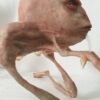 Luxury Handmade Italian Surrealist Silicone Collectible Art Sculpture - Image 5
