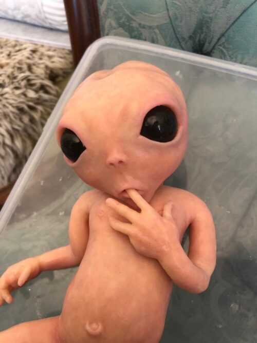 “Zara” – Bebe Reborn Alien Baby Girl Doll with Mystical Realism - Image 3