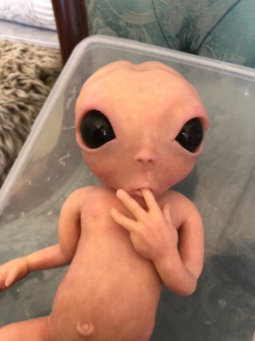“Zara” – Bebe Reborn Alien Baby Girl Doll with Mystical Realism - Image 2