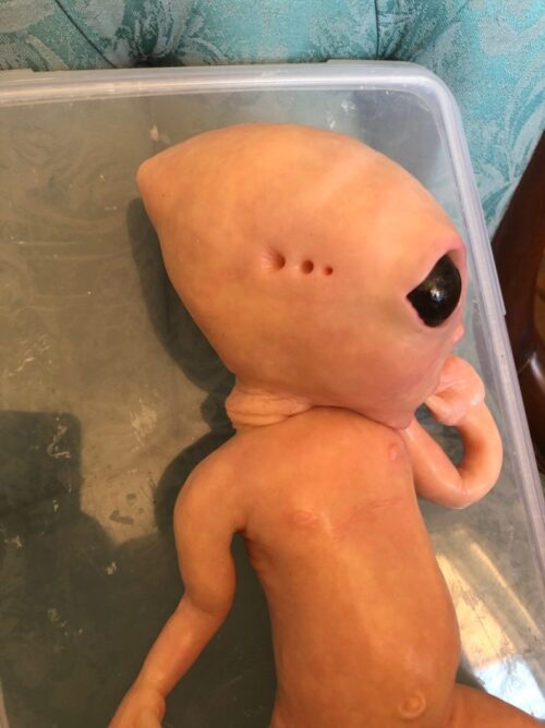 “Zara” – Bebe Reborn Alien Baby Girl Doll with Mystical Realism - Image 4