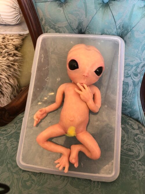 bebe reborn alien