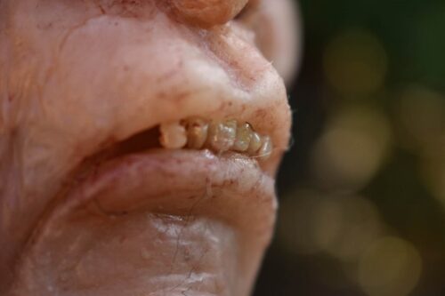 Macellarius Hand-Carved Silicone Sculpture - Image 9