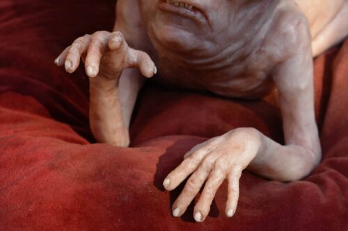 Macellarius Hand-Carved Silicone Sculpture - Image 3