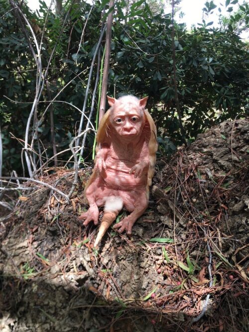 Handcrafted Silicone Armadillo Hybrid Man Sculpture - Image 9
