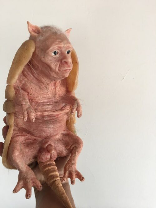 Handcrafted Silicone Armadillo Hybrid Man Sculpture - Image 8