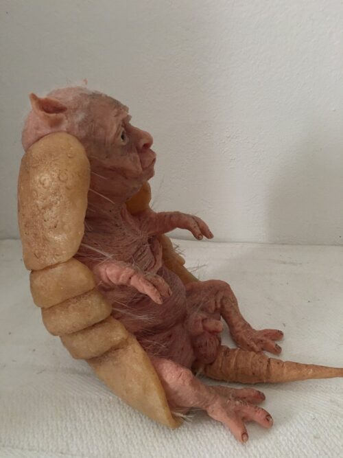 Handcrafted Silicone Armadillo Hybrid Man Sculpture - Image 4
