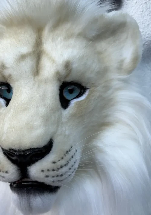 Realistic Albino Lion Fursuit Head - Image 3