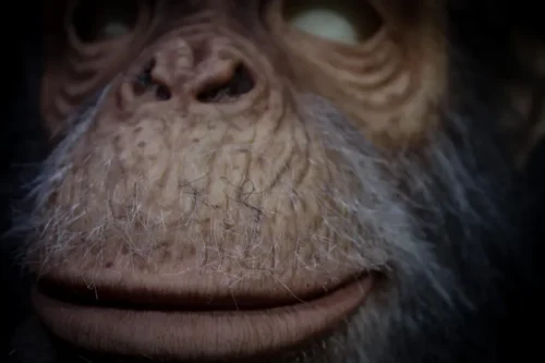 Old Monkey mask - Image 4