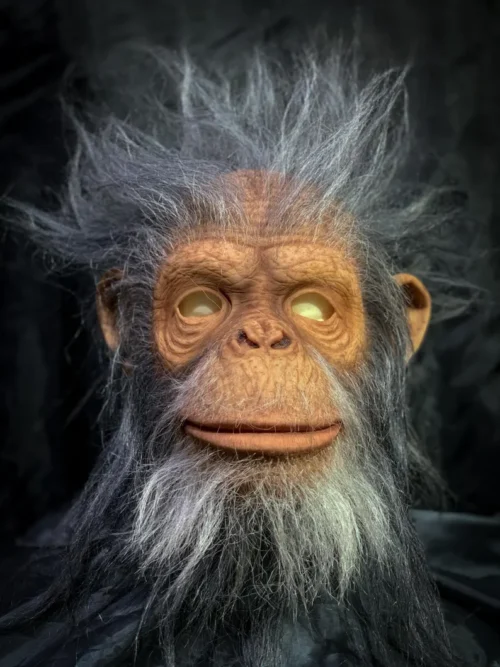 Old Monkey mask - Image 2