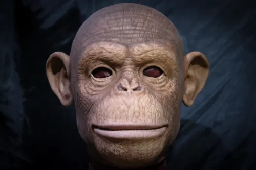 Old Monkey mask