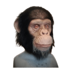 animal face masks for adults