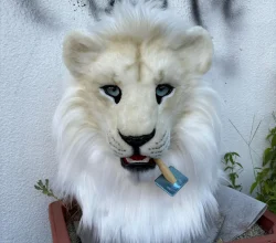 Albino Lion Fursuit Head