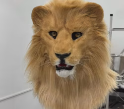 Latex lion mask