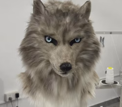 Realistic Faux Fur Wolf Mask