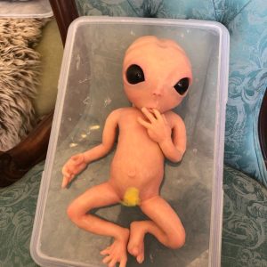 bebe reborn alien