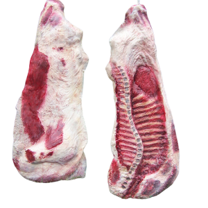 Realistic Silicone Beef Flatback Pair