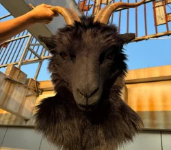fursuit head black goat....