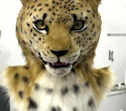 leopard fursuit head..