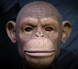 old monkey mask....