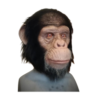 silicone animal masks.